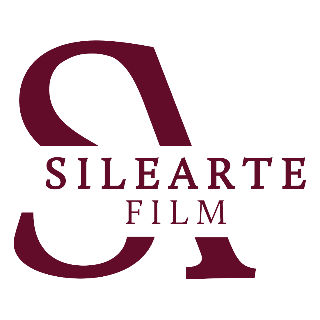 Silearte – filmy promocyjne i dokumentalne na Śląsku